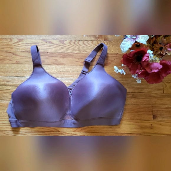 Cacique Intimates & Sleepwear Cacique Bra 48d Black W Sheer Lightly